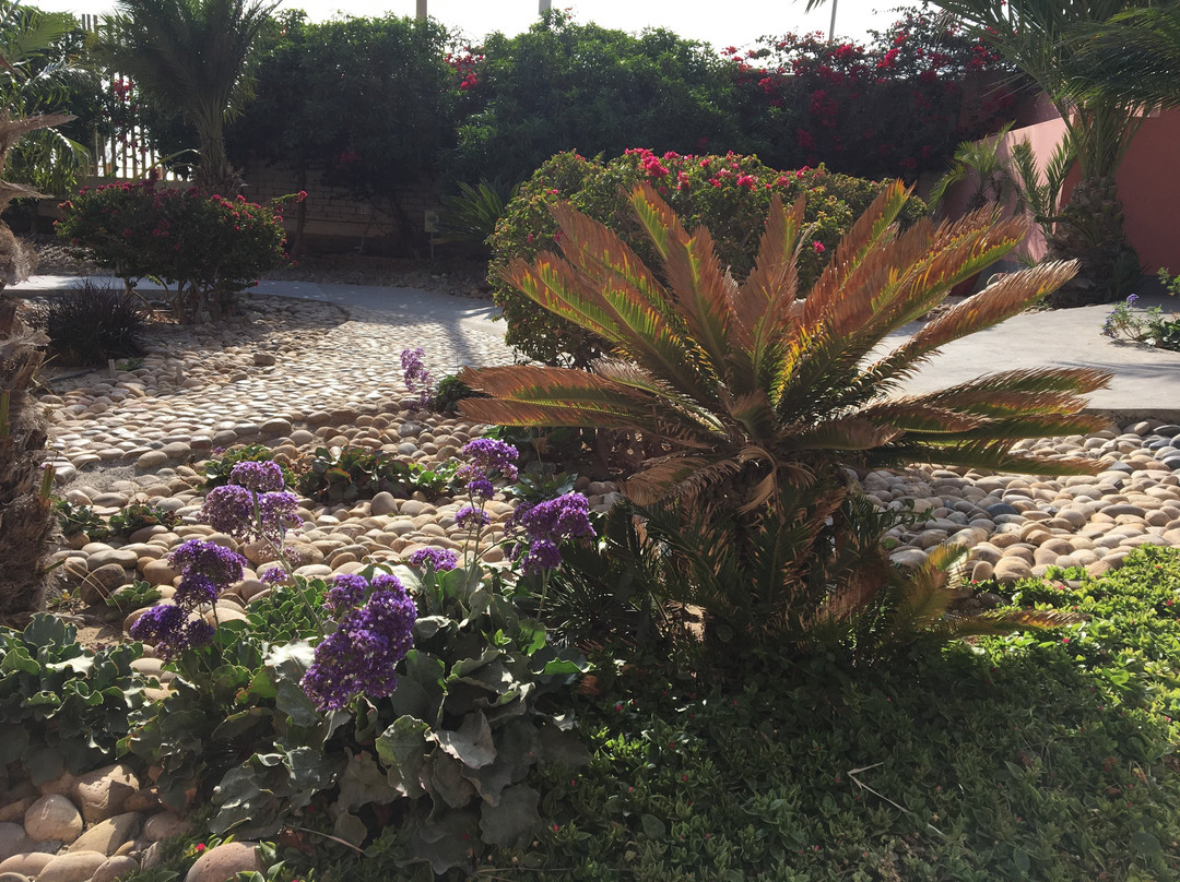 Chicama Boutique Hotel主图