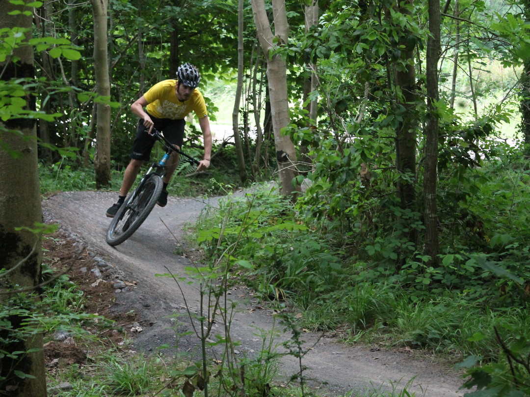 Pedal Progression-布里斯托尔必去景点