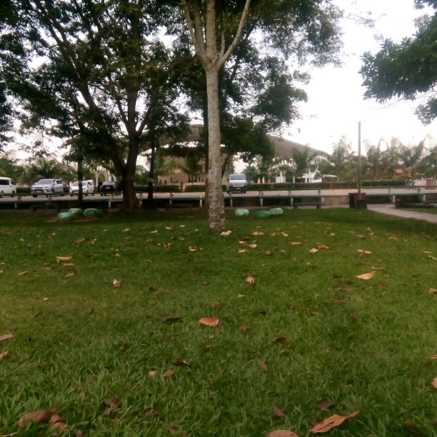 Energy Park-Tagum City必去景点