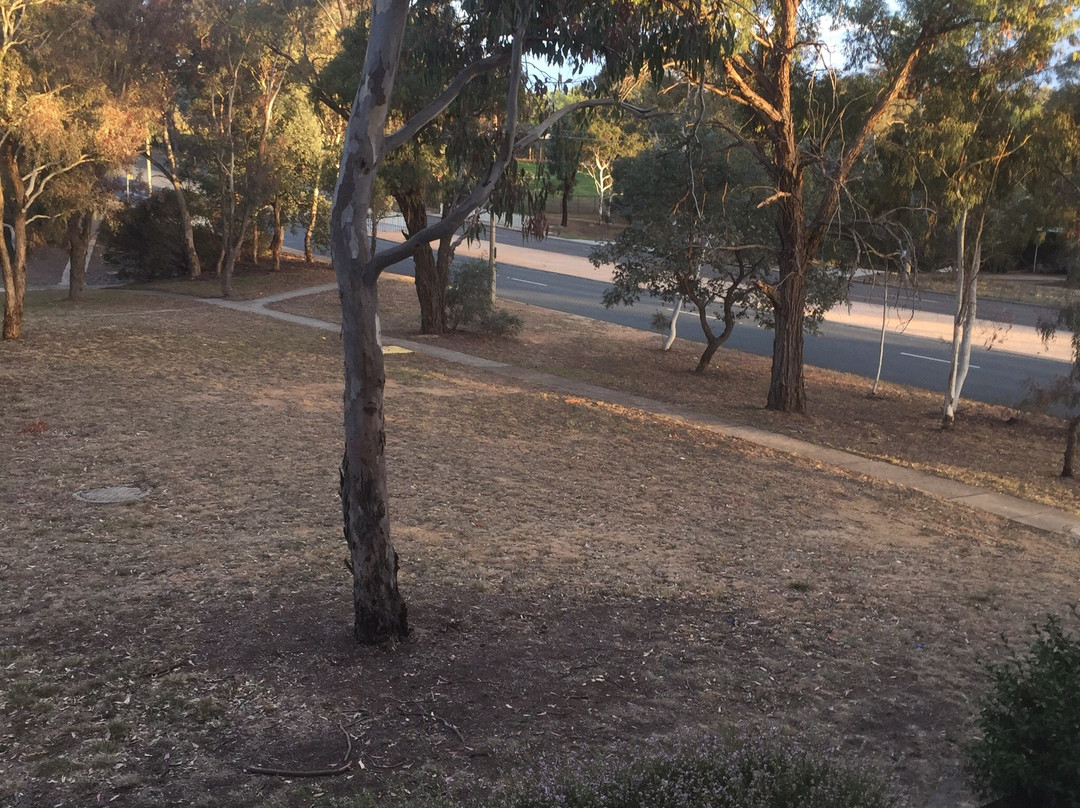 Belconnen Hotel/Motel and Serviced Apartments主图