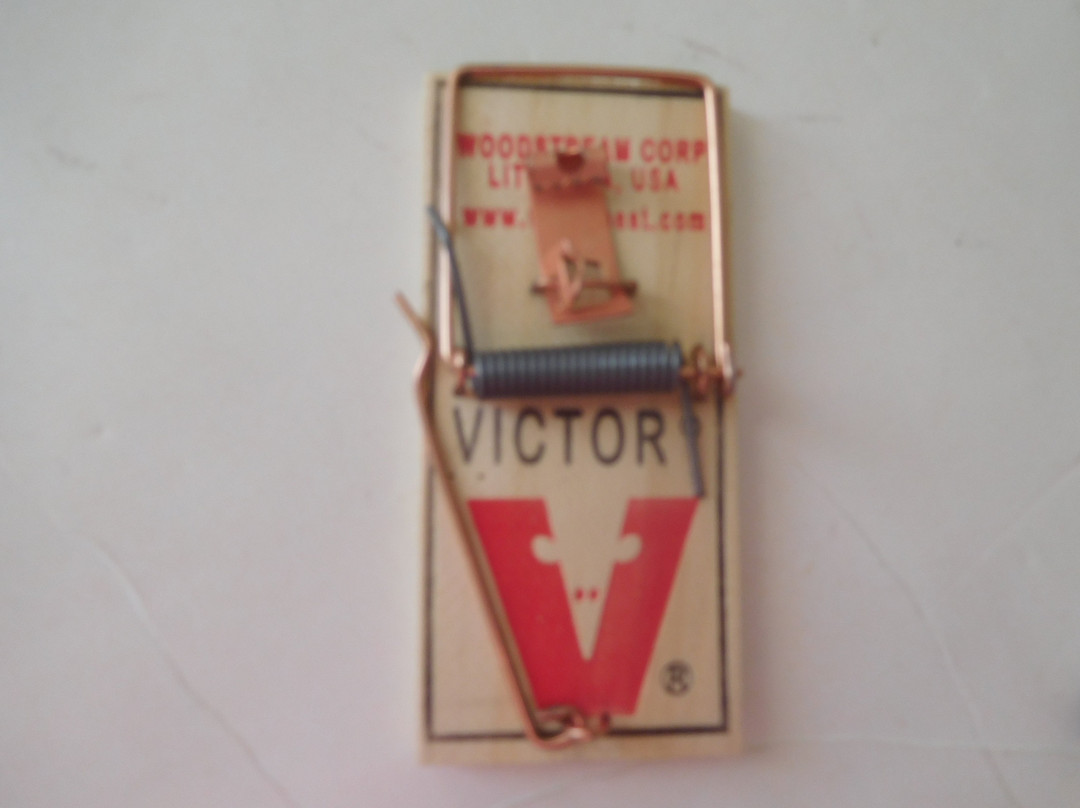 Giant Mouse Trap-Casey必去景点