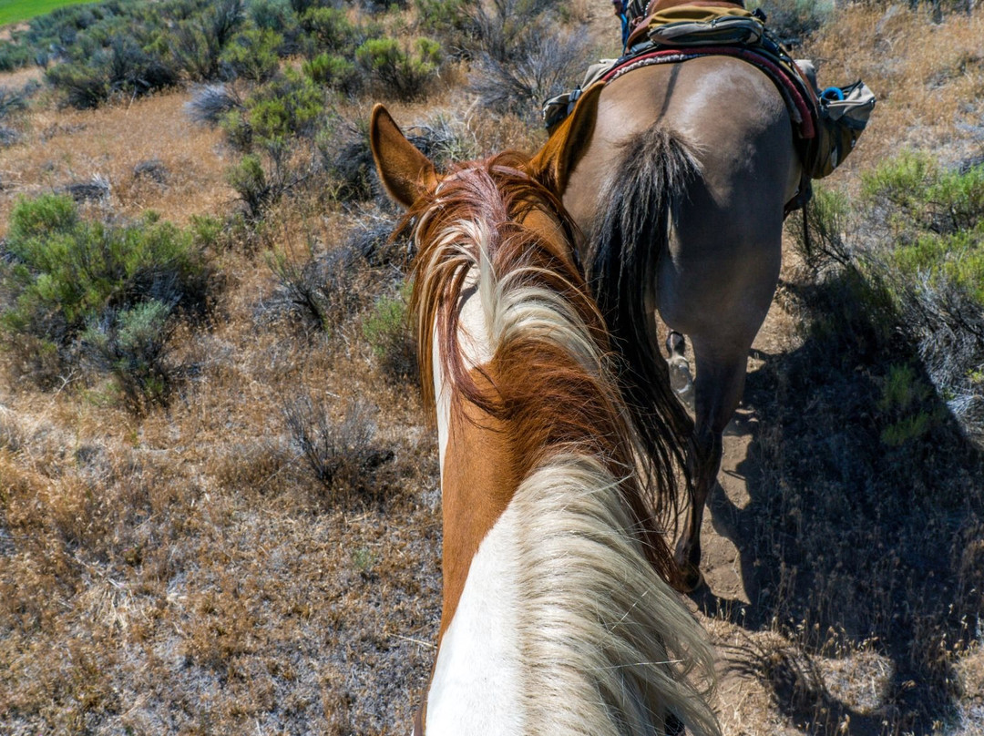 Smith Rock Trail Rides-Terrebonne必去景点