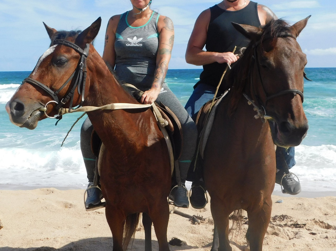 Jahworks Stable-Saint Peter Parish必去景点