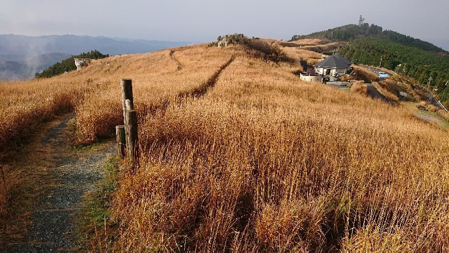 Oishi Highland-纪美野町必去景点