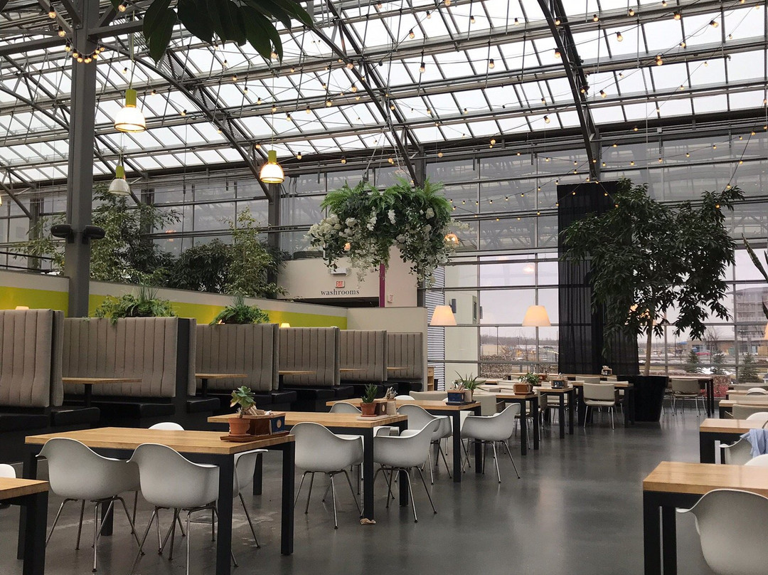 The Enjoy Centre-圣艾伯特必去景点