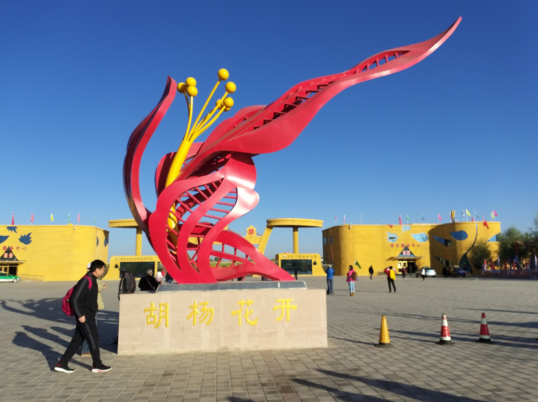 东风胡杨林露营公园主图