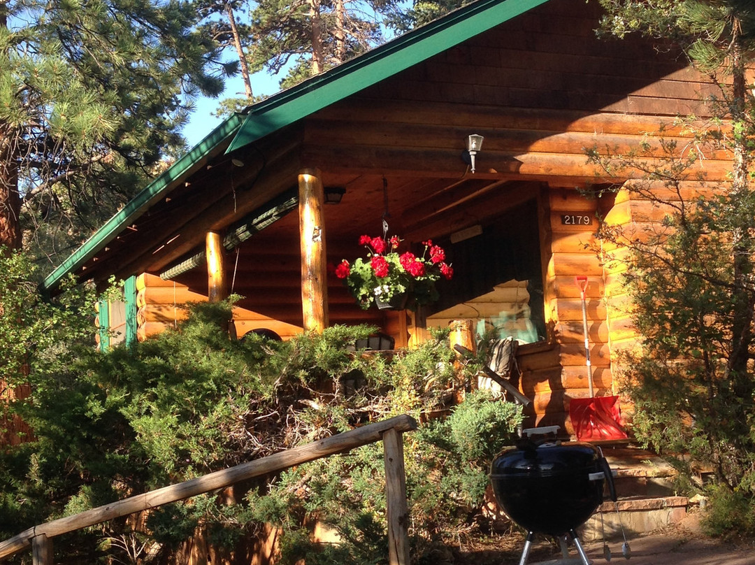 Braeside Cabin主图