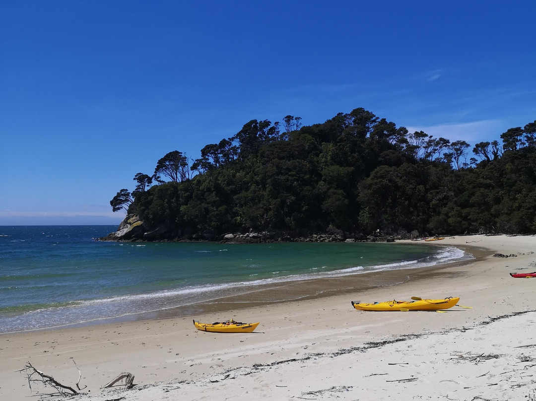 Aroha Abel Tasman景点图片