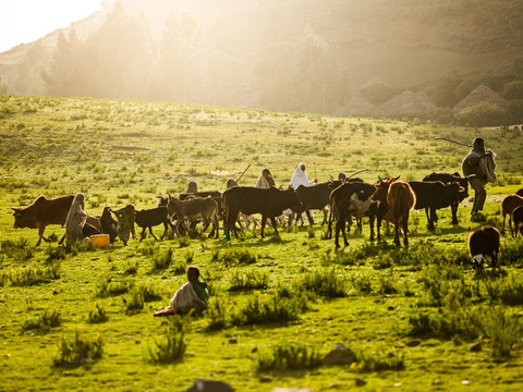 Roha lalibela free walking tour-拉利贝拉必去景点