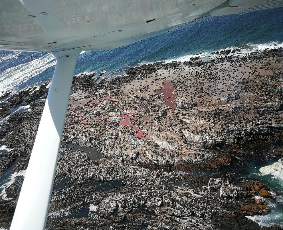 African Wings - Day Trips-卡里登必去景点