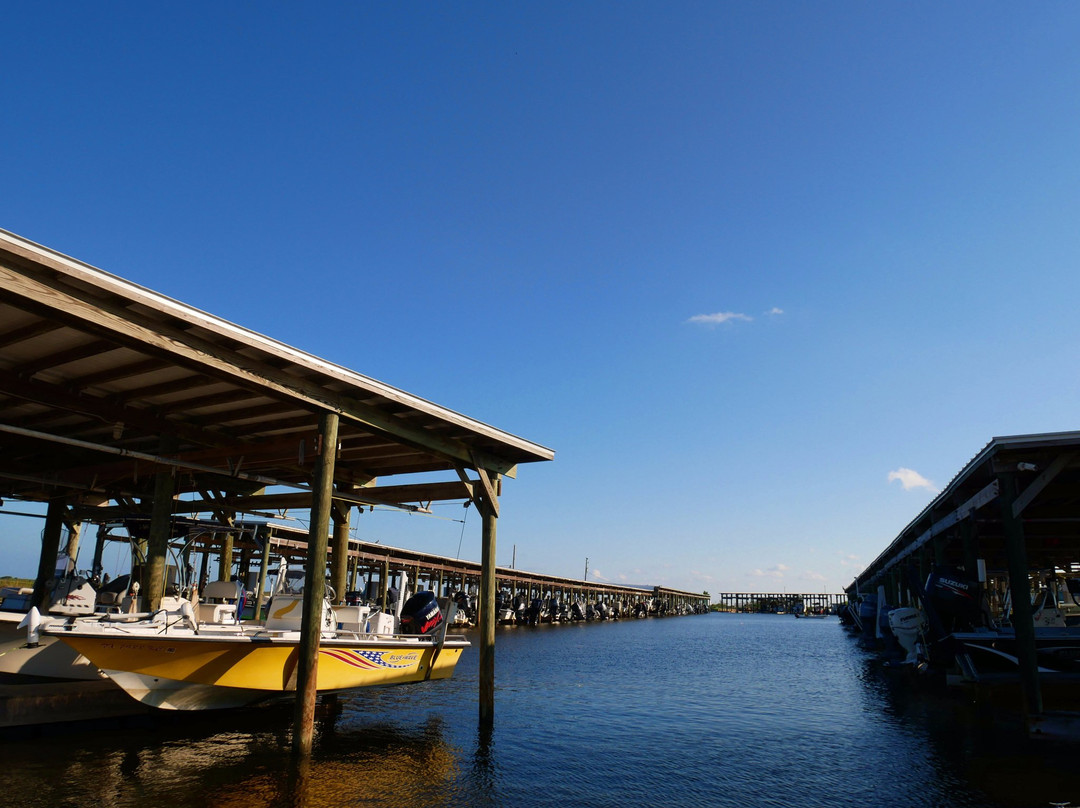 Bluff's Landing Marina & Lodge
