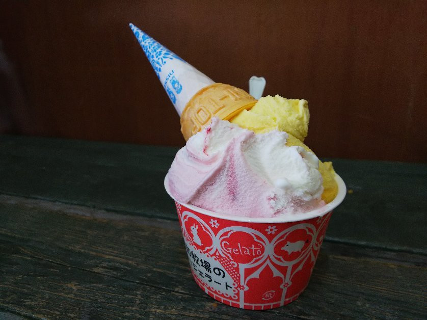 Aichi Farm-日进市必去景点