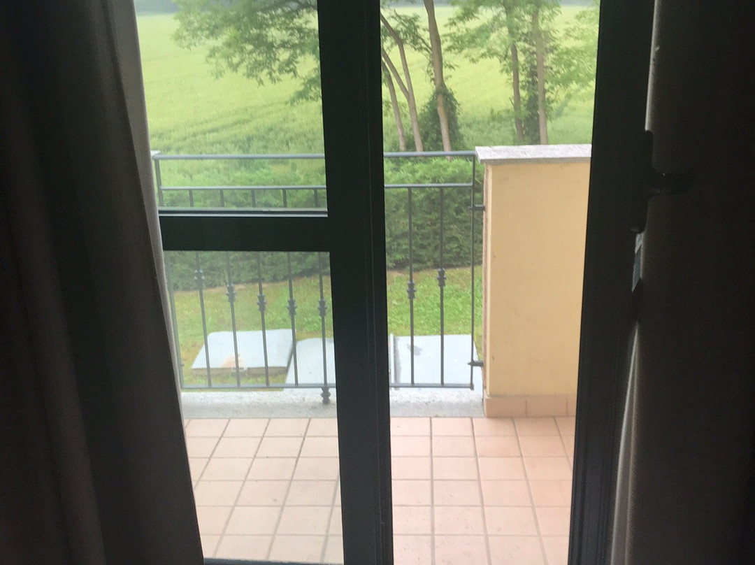 Green Class Hotel Candiolo主图