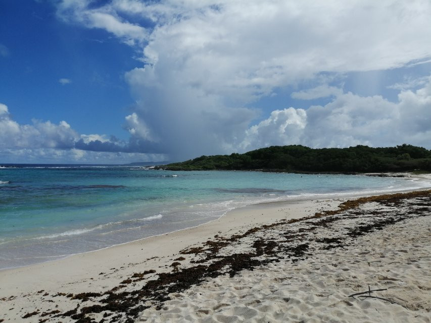 Anse à l'Eau景点图片