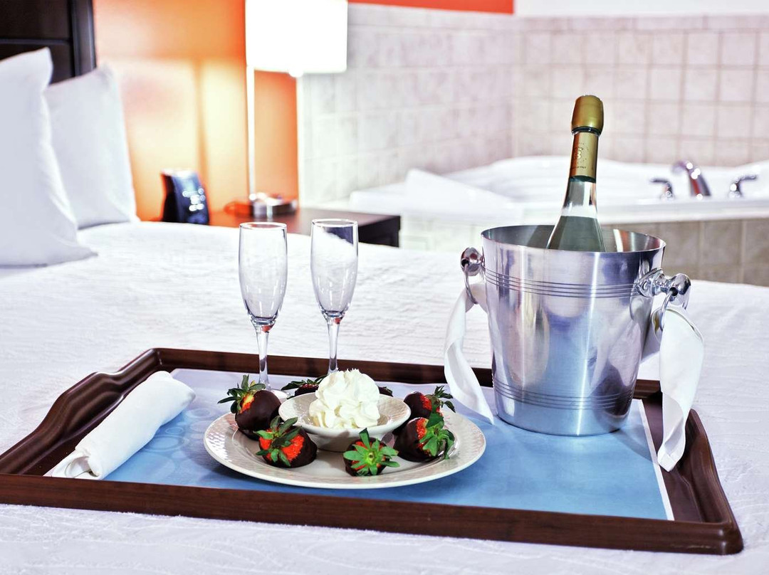 斯普林菲尔德希尔顿花园酒店主图