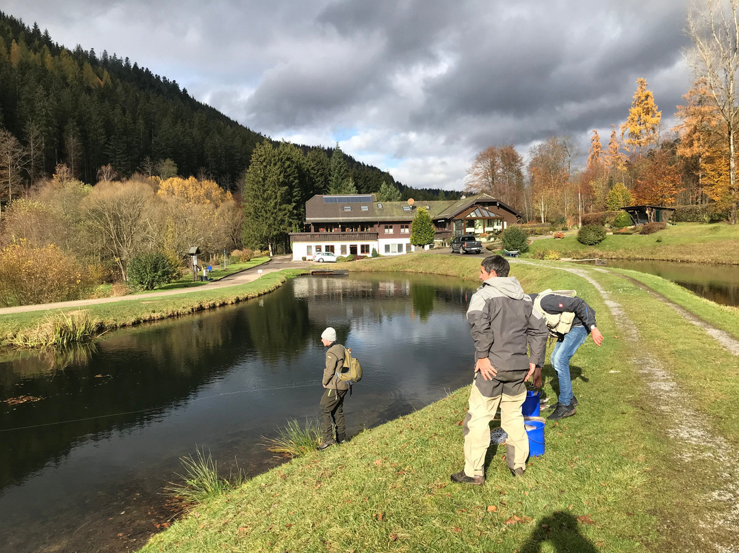 Forellenpark Kleinenztal景点图片