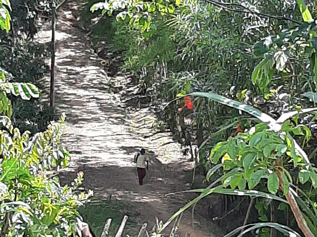 Comunidad Nativa Wayku-Lamas必去景点