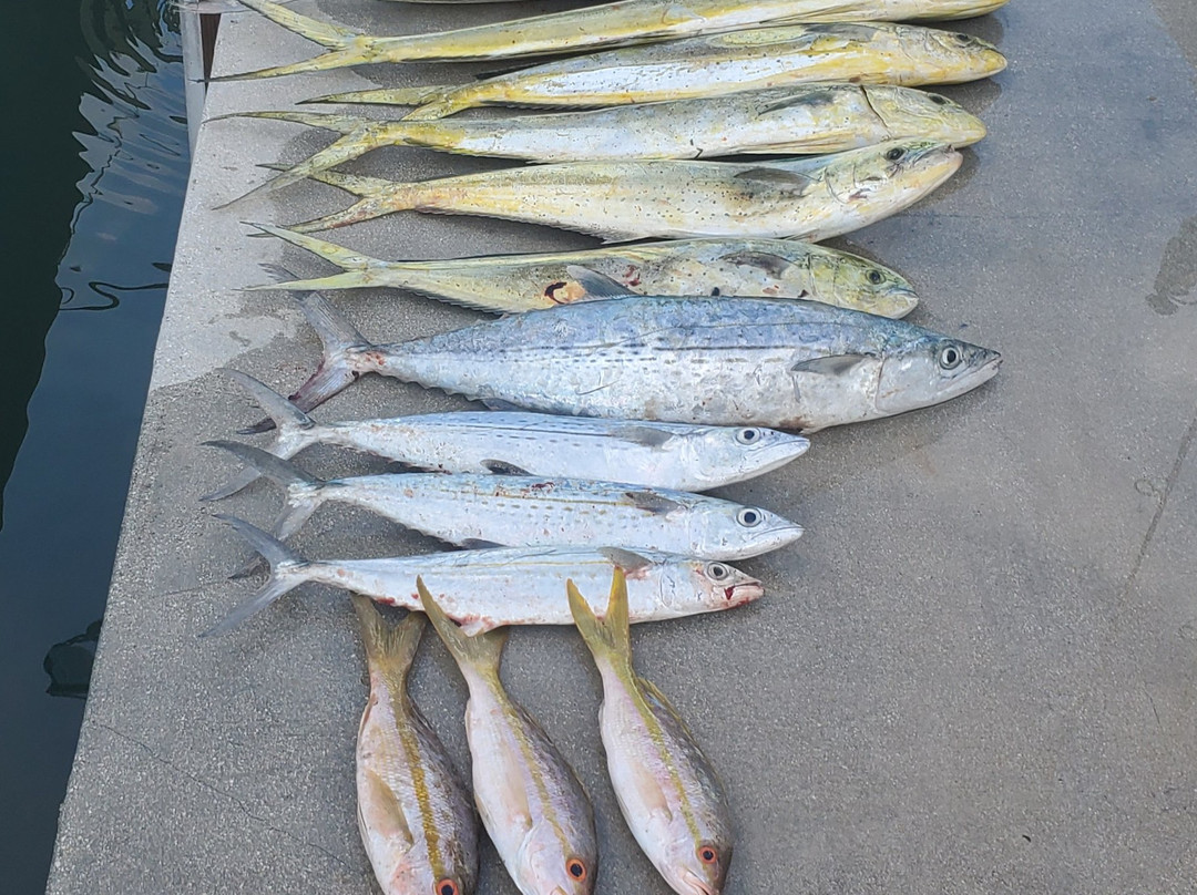 Can't Fish Enough-Cudjoe Key必去景点