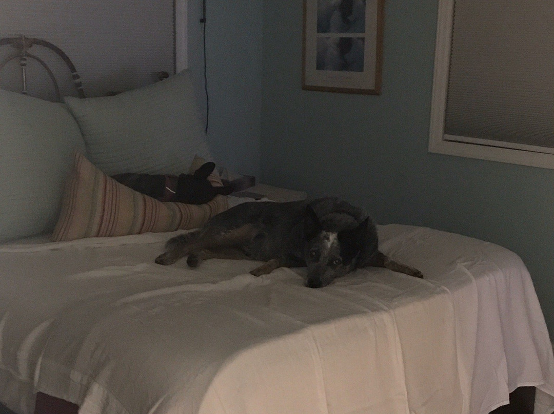 Between Water & Main Bed & Breakfast主图