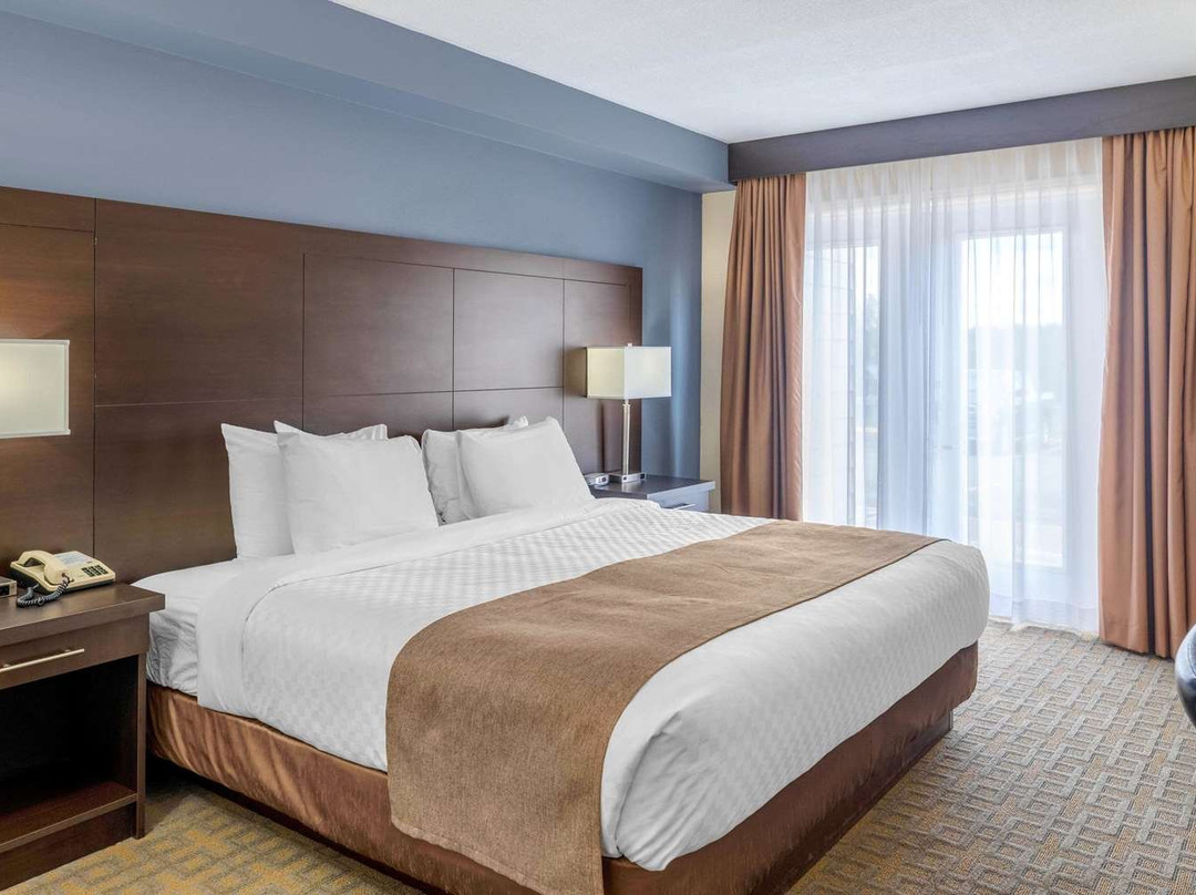 Quality Inn & Suites Bathurst主图