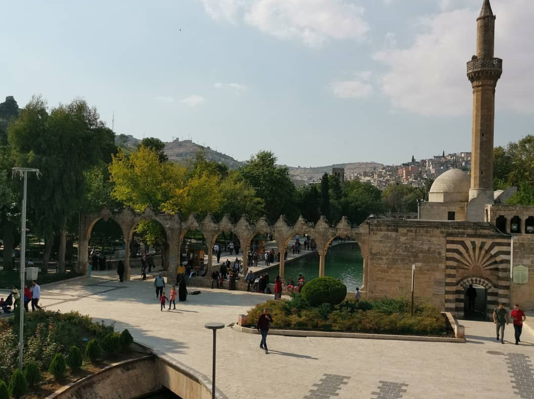 桑尼乌法曼池酒店 - 特殊类别主图