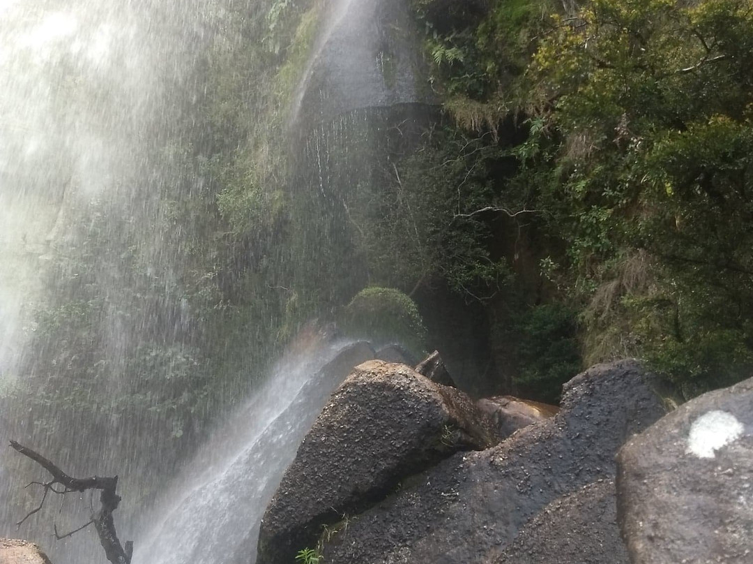 Cannyon e Cachoeira do Rio São Jorge-Ponta Grossa必去景点
