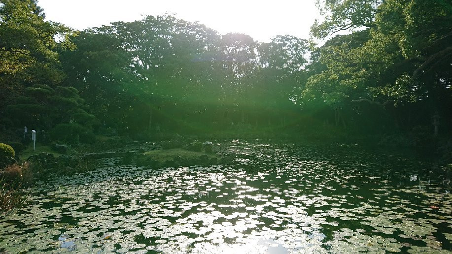 Gotoshi Teien Indenyashiki & Kokojigaike-五岛市必去景点