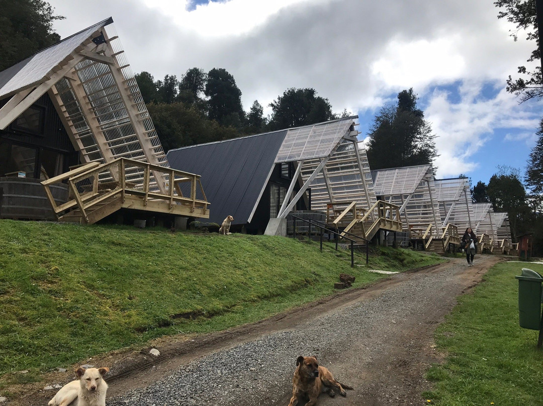 Termas  Aguas Calientes-Osorno必去景点
