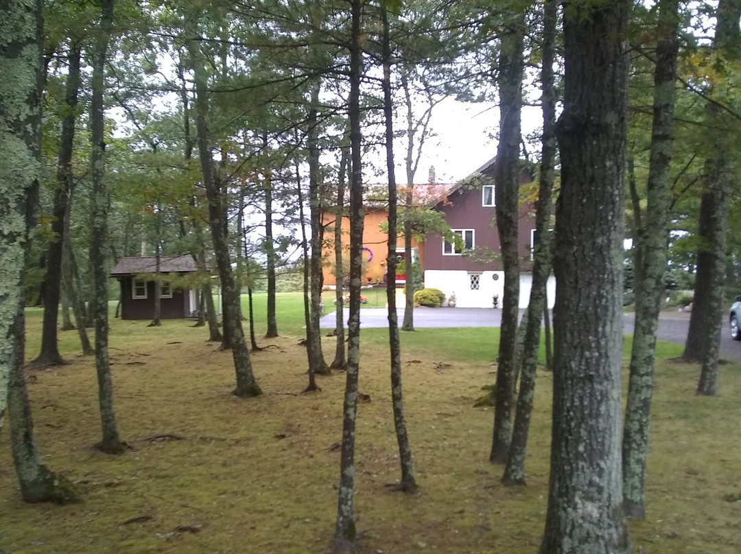 The George Ellen Bed and Breakfast主图