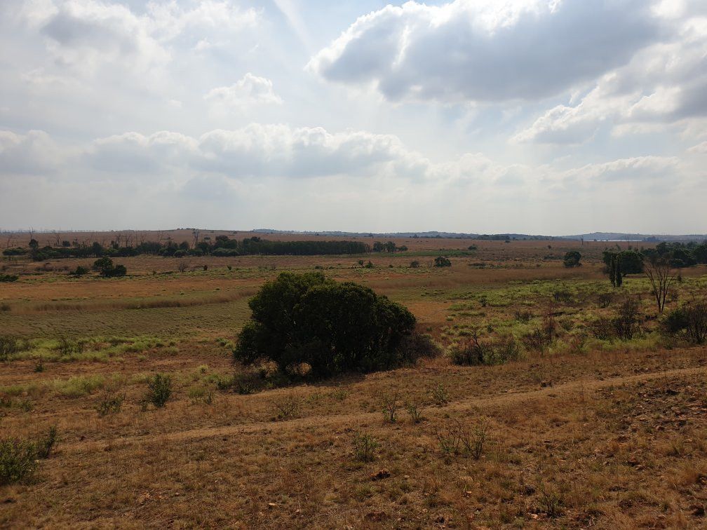 Rietfontein Nature Reserve景点图片