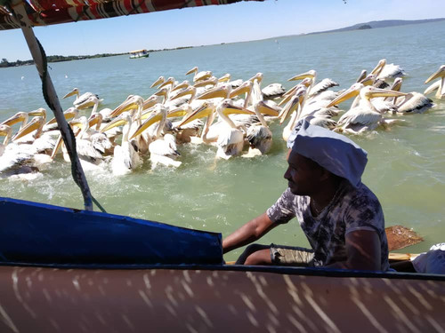 Addis Alamirew Hailu-巴哈尔达尔必去景点