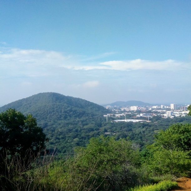Plaza Alfonso Lopez Valledupar-巴耶杜帕尔必去景点