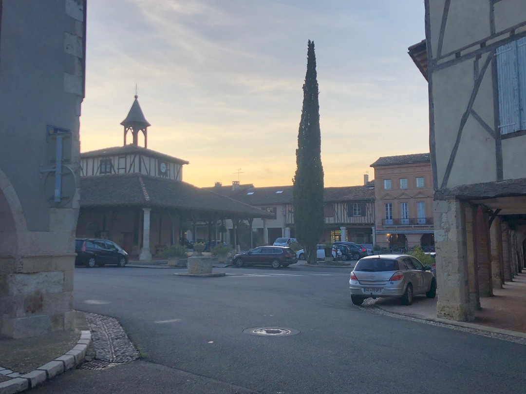 Un Coin de Paradis主图