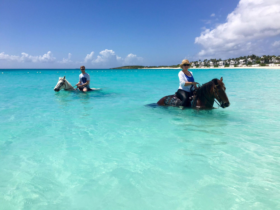 Seaside Stables Anguilla