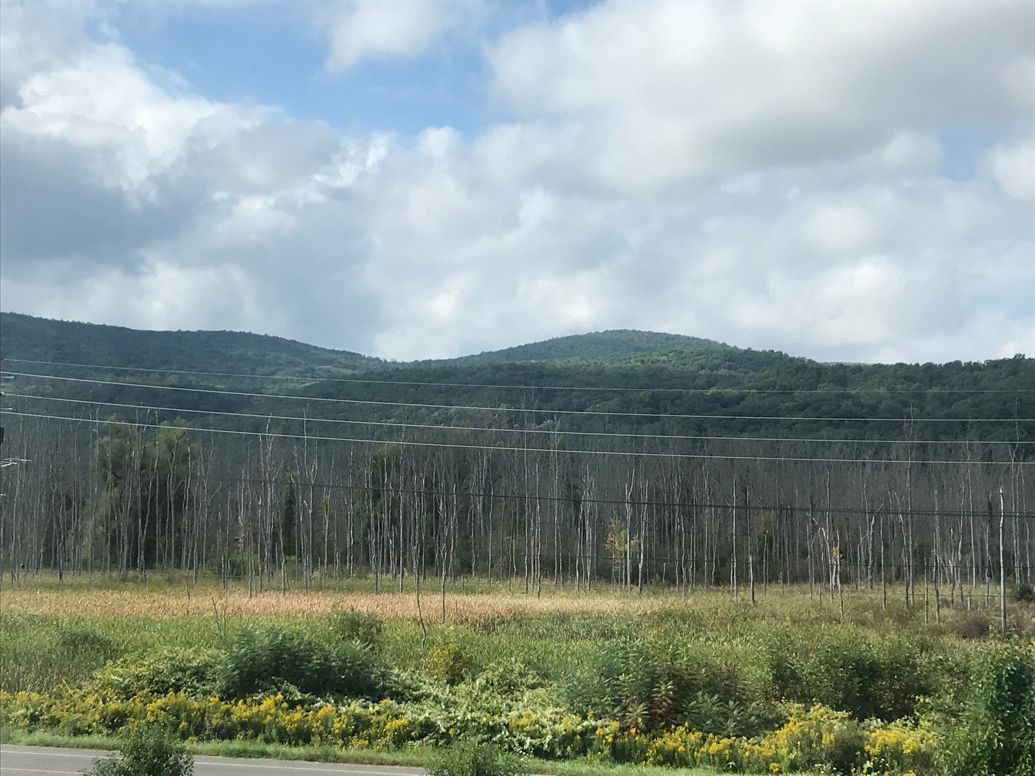 Best Western Plus The Hammondsport Hotel-酒店景观