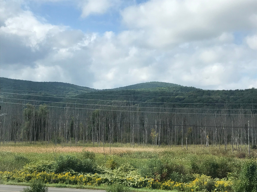 Best Western Plus The Hammondsport Hotel主图