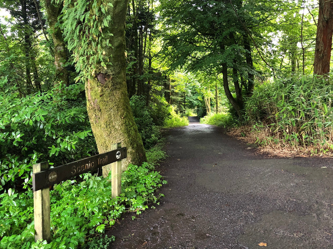 Glenariff Forest Park Caravan Park景点图片