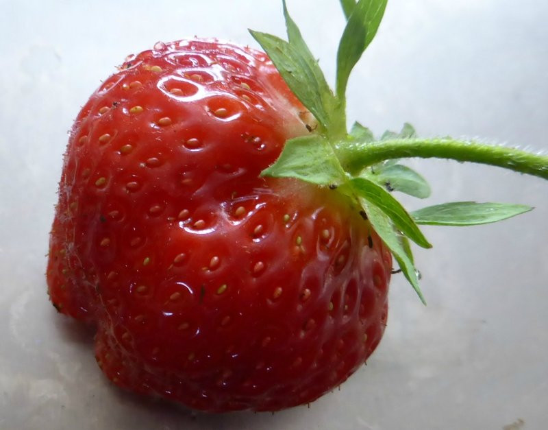 Saint Sulpice旅游景点-Ferme Cormier