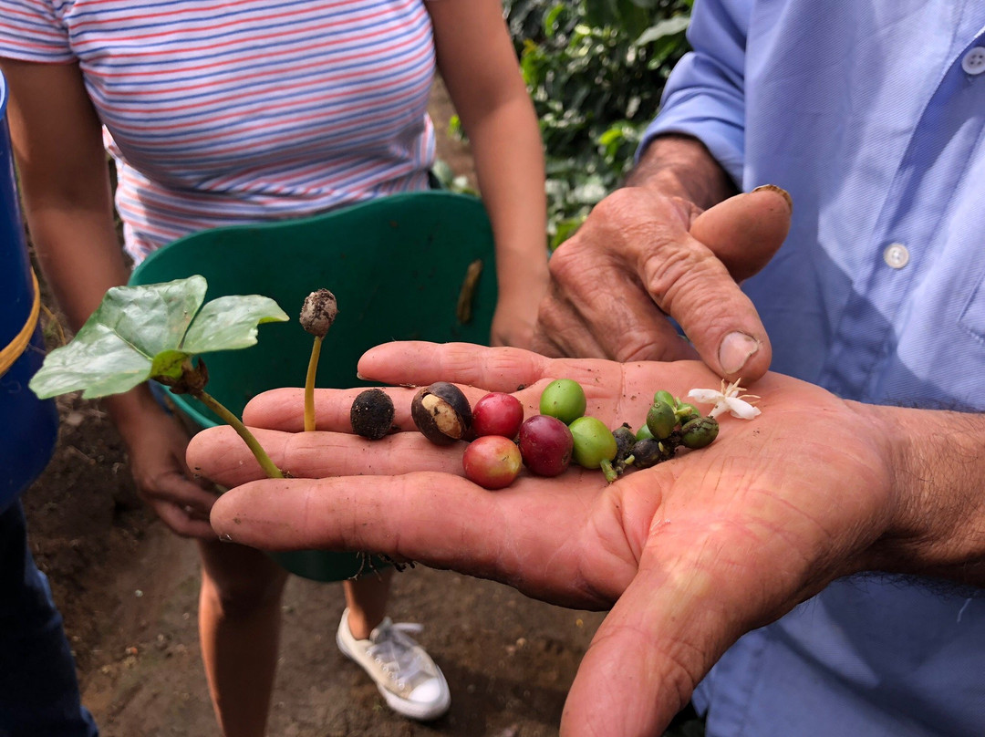 Jardín Eco Tours-Jardin必去景点