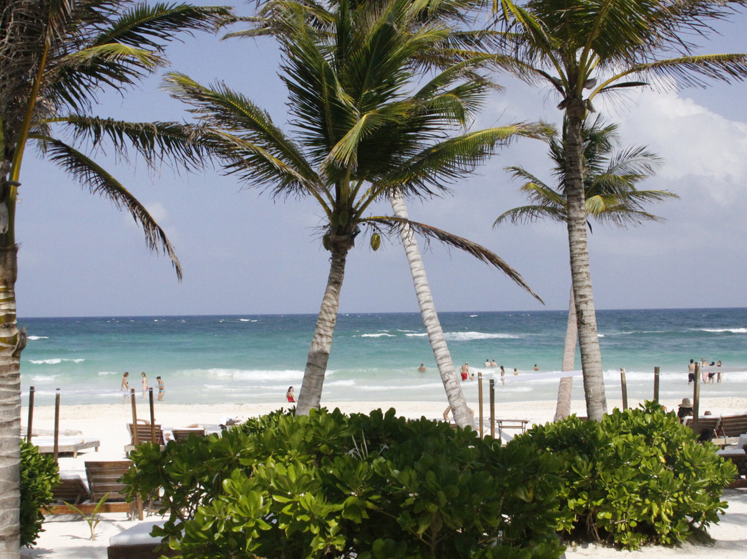 Ana y Jose Beach Club-图伦必去景点