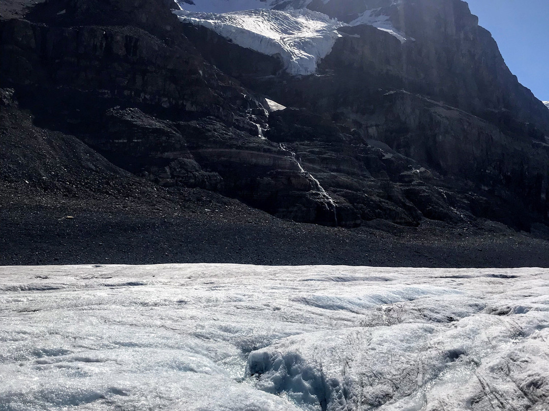 Columbia Icefield Glacier Adventure景点图片