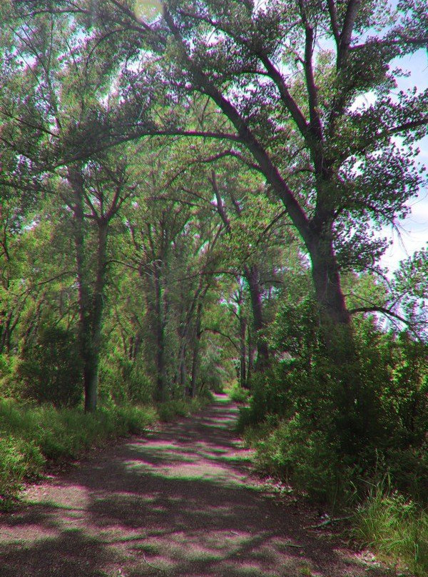 Riverfront Park-比灵斯必去景点