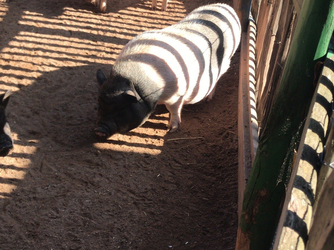 Erlebnispark Memleben-Memleben必去景点