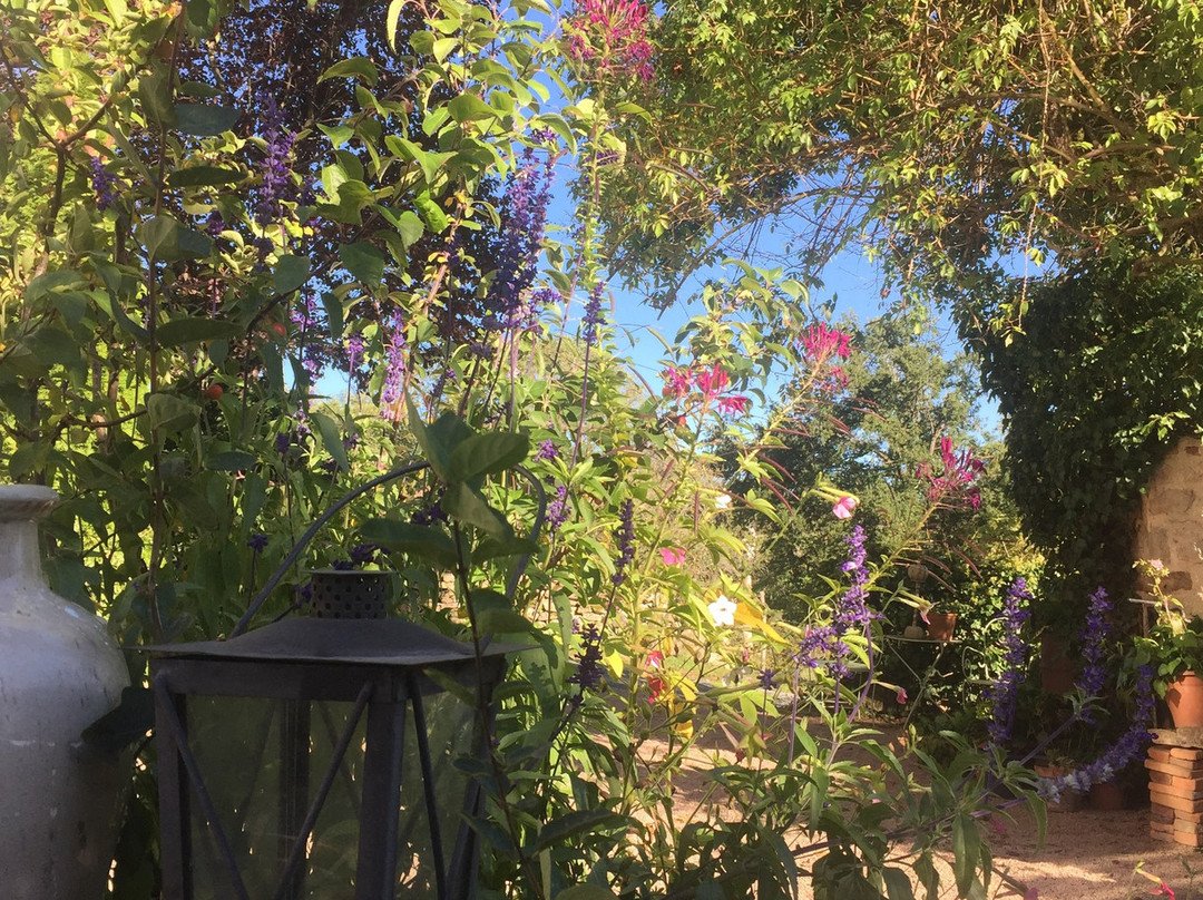 Le Cuisinier en Combraille主图