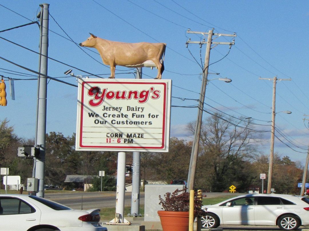 Young's Jersey Dairy Farm景点图片