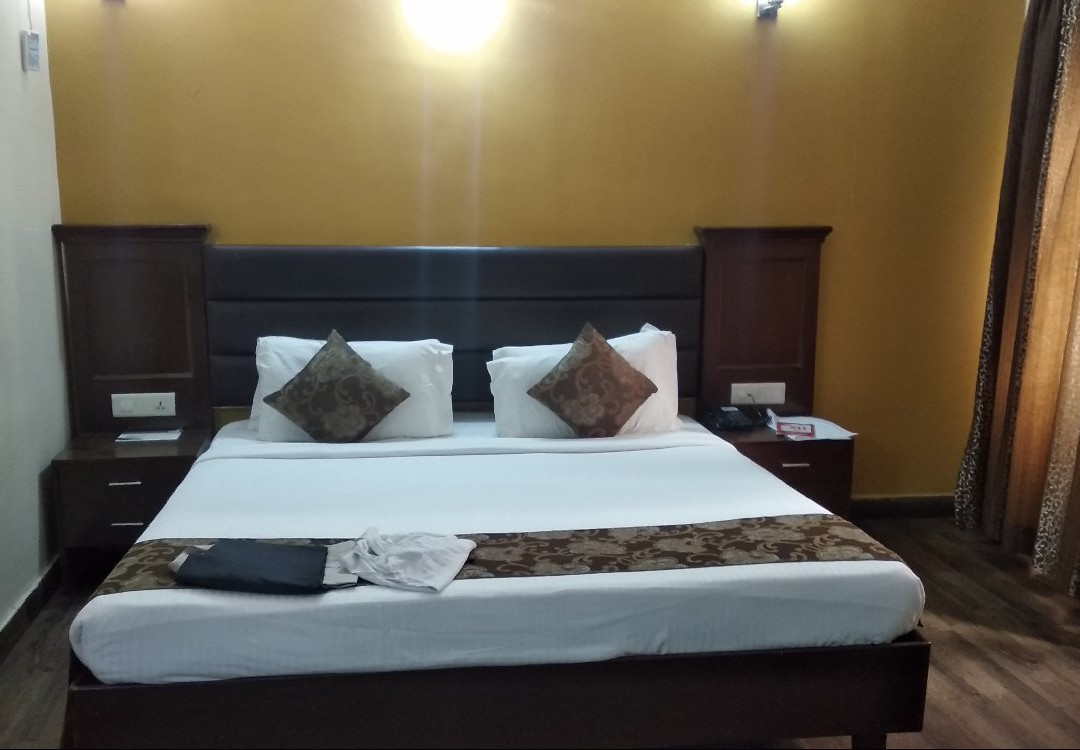 Mango Hotels Nagpur, Central Avenue Road主图