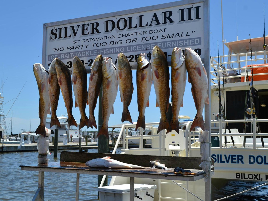 Biloxi Charter Fishing景点图片