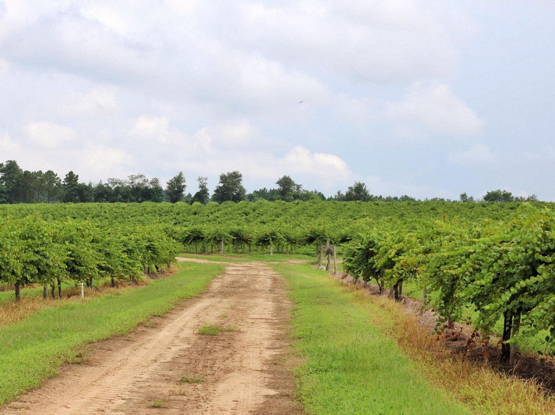 Paulk Vineyards-Wray必去景点