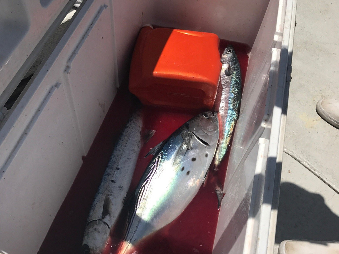 Ham'r Time Sport Fishing Charters-博因顿海滩必去景点