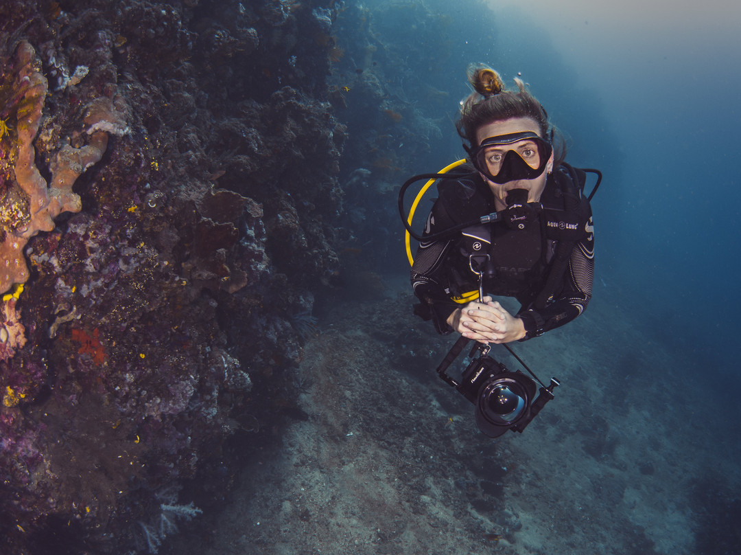 Scuba Mafia景点图片